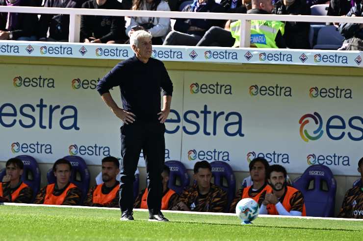 gasperini