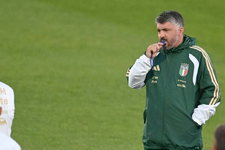  gattuso 